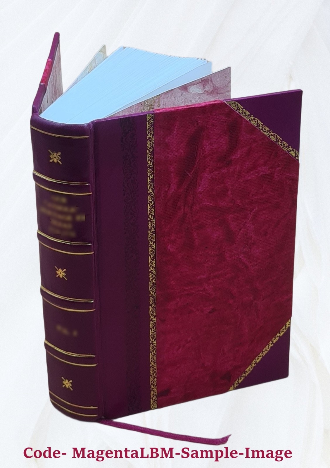 Black’s Law Dictionary 1st Edition 1891 1891 by HENRY CAMPBELL B [Leather Bound]