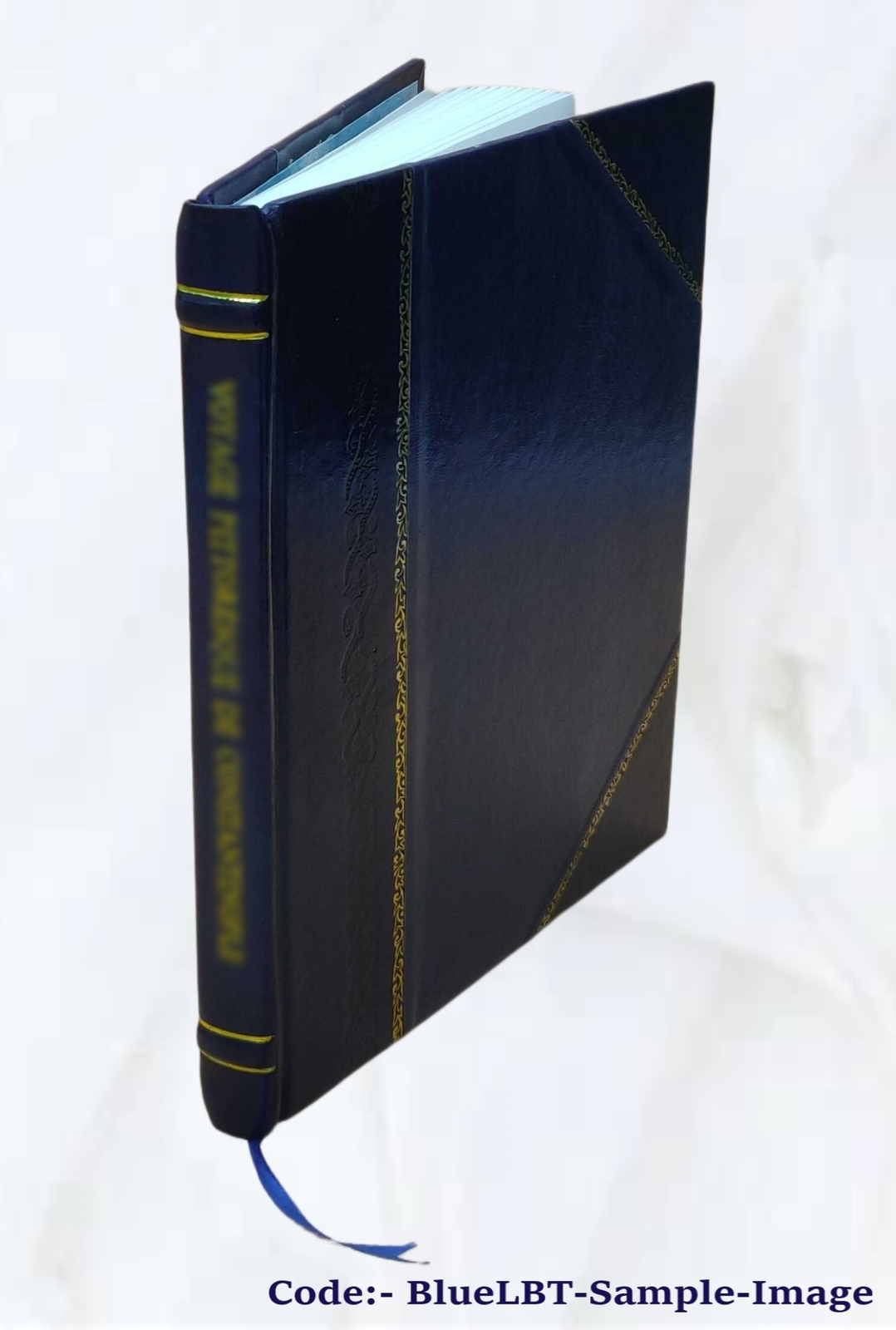 Humanitarianism Its General Principles And Progress 1906 [Leather Bound]