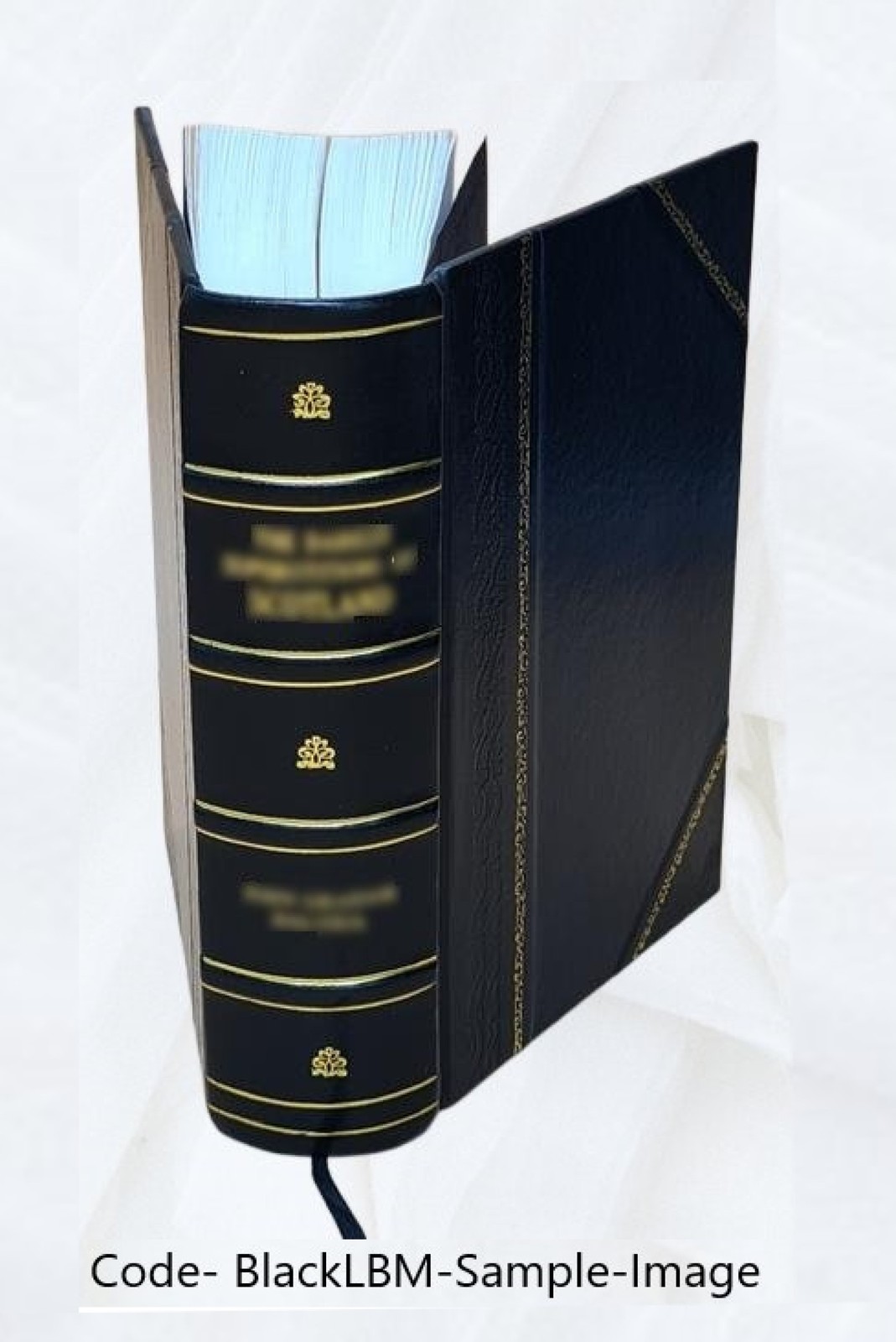 Die Philosophie des Als Ob 1922 by Hans Vaihinger [Leather Bound]