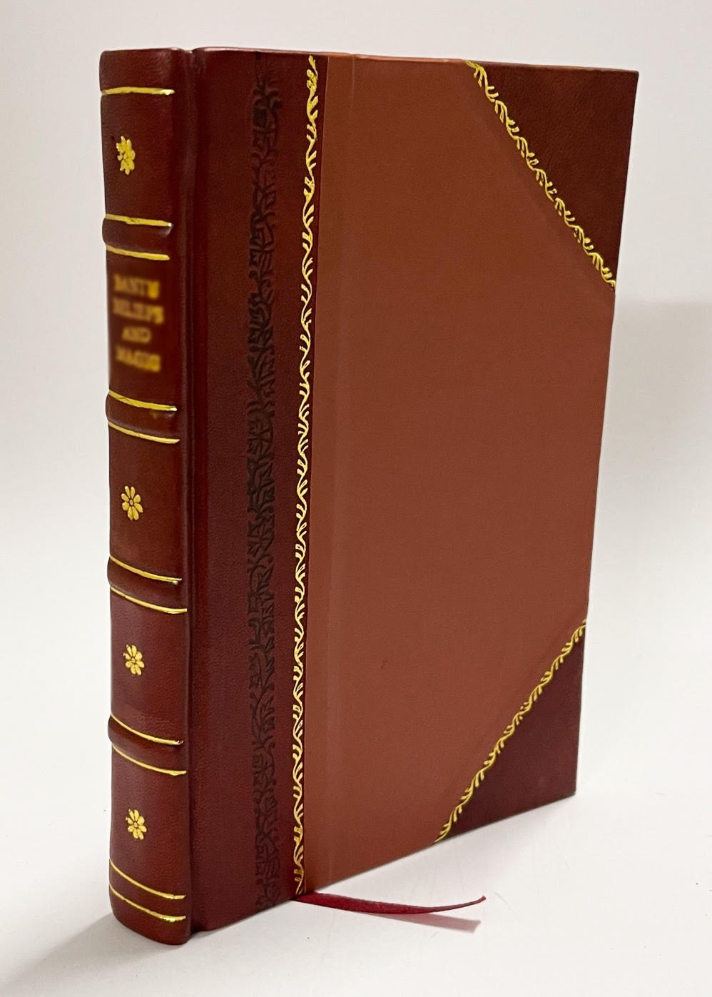 The Naturalist in a Boarding School, by William Alphonso Murril [Leather Bound]